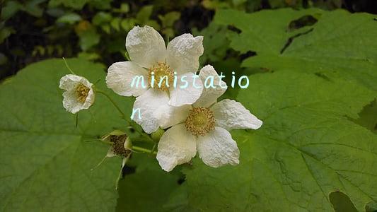 ministation
