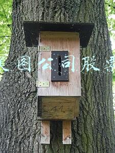 美图公司股票