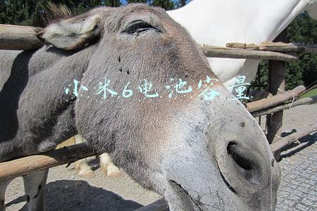 小米6电池容量