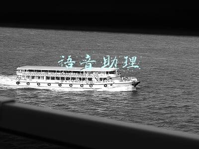 语音助理