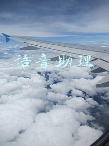 语音助理