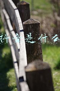 抖音是什么