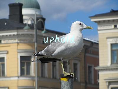 uphold