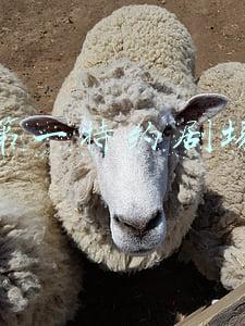 第一特约剧场历年片头(4月2日（周二）中央电视台各频道电视节目表)