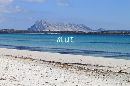 mut