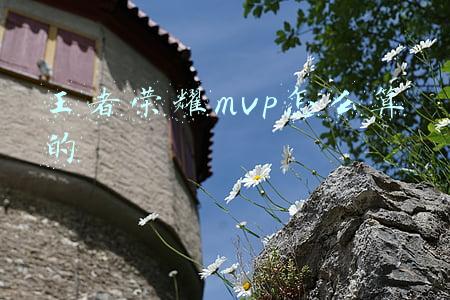 王者荣耀怎么看得了多少个MVP(如何判断自己的游戏水平？对照表现分就行了，看看你属于哪类玩家)