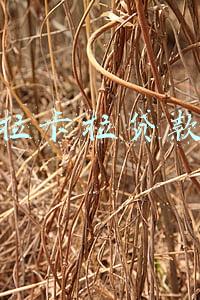 拉卡拉贷款