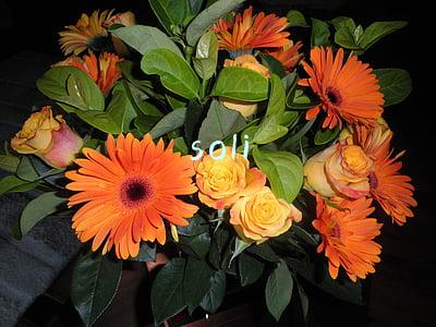 soli