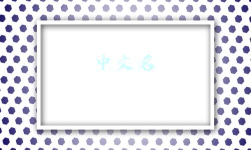 中文名