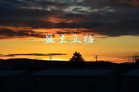 盟主直播