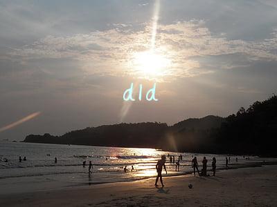 dld