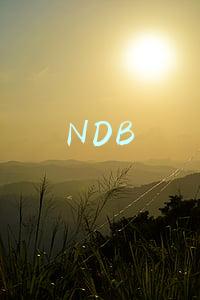 NDB