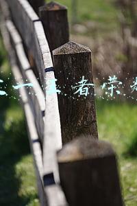 东皇太一王者荣耀出装