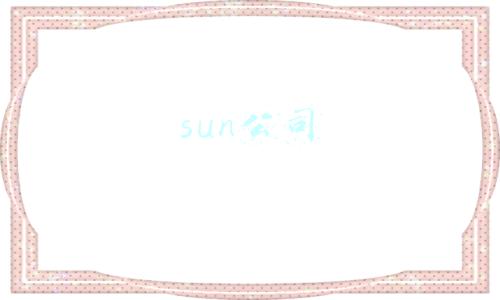 sun公司