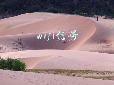 wifi信号