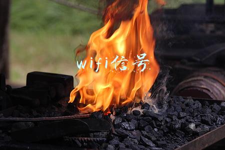 wifi信号