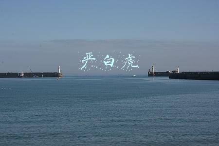 严白虎