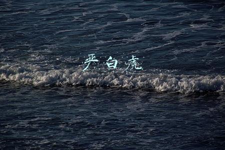 严白虎