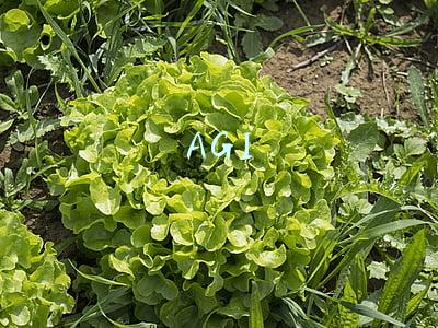 AGI