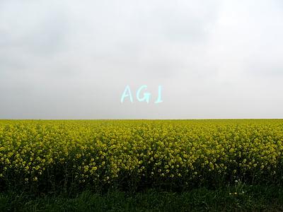 AGI