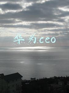 华为ceo