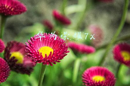 华为荣耀7x