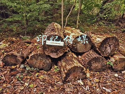 印纪传媒吴冰回国(债券违约后印纪传媒董事长“身患疾病无法回国” 遭证监局问询)