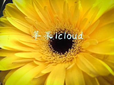 苹果icloud
