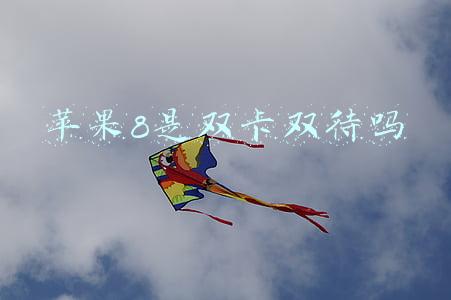 苹果8是双卡双待吗
