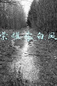 王者荣耀李白凤求凰