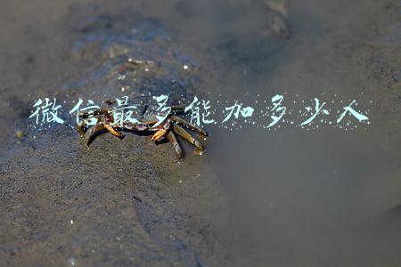 微信最多能加多少人