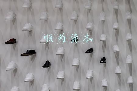 顺为资本