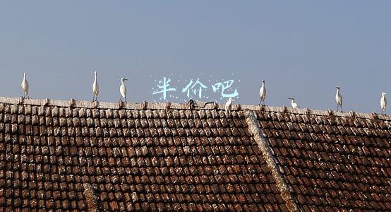 半价吧