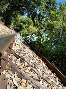 恩格尔系数越大(恩格尔系数再创新低对中国意味着什么)