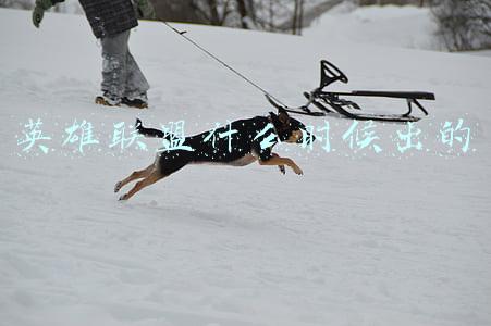 英雄联盟什么时候出的