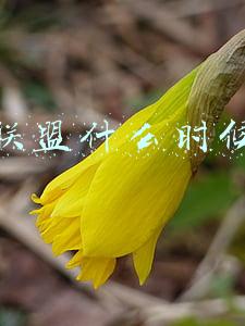 英雄联盟什么时候出的