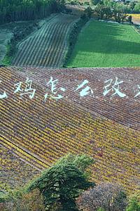 吃鸡怎么改名