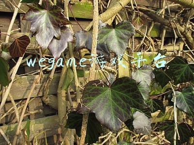 wegame游戏平台