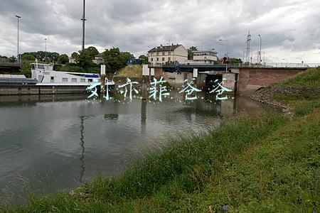 刘亦菲爸爸