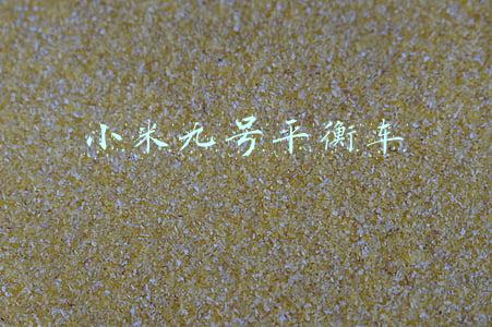 小米九号平衡车
