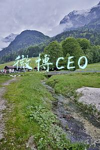 微博CEO