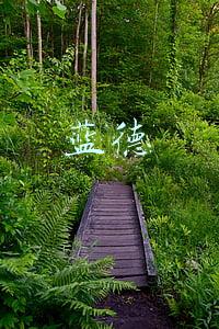 蓝德