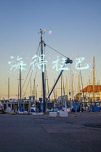 海得拉巴
