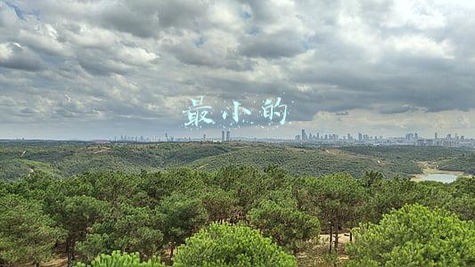 最小的