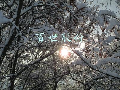 百世股价