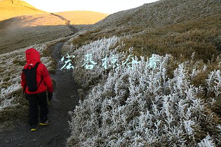 宏碁掠夺者