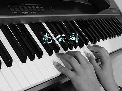 壳公司