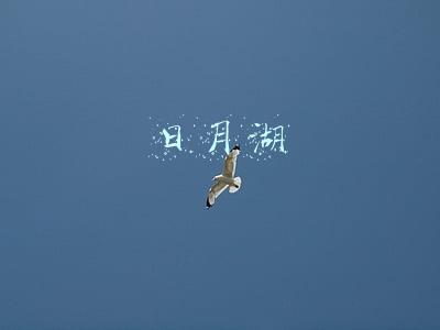 日月湖附近楼盘(日月湖周边楼盘哪家销量高？)