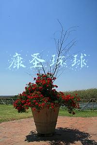 康圣环球
