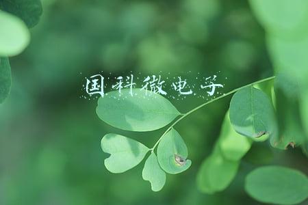 国科微电子